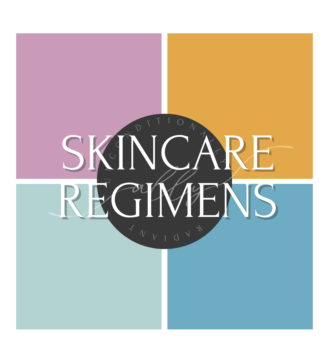 Skincare Regimens WITH FREE cosmetic bag